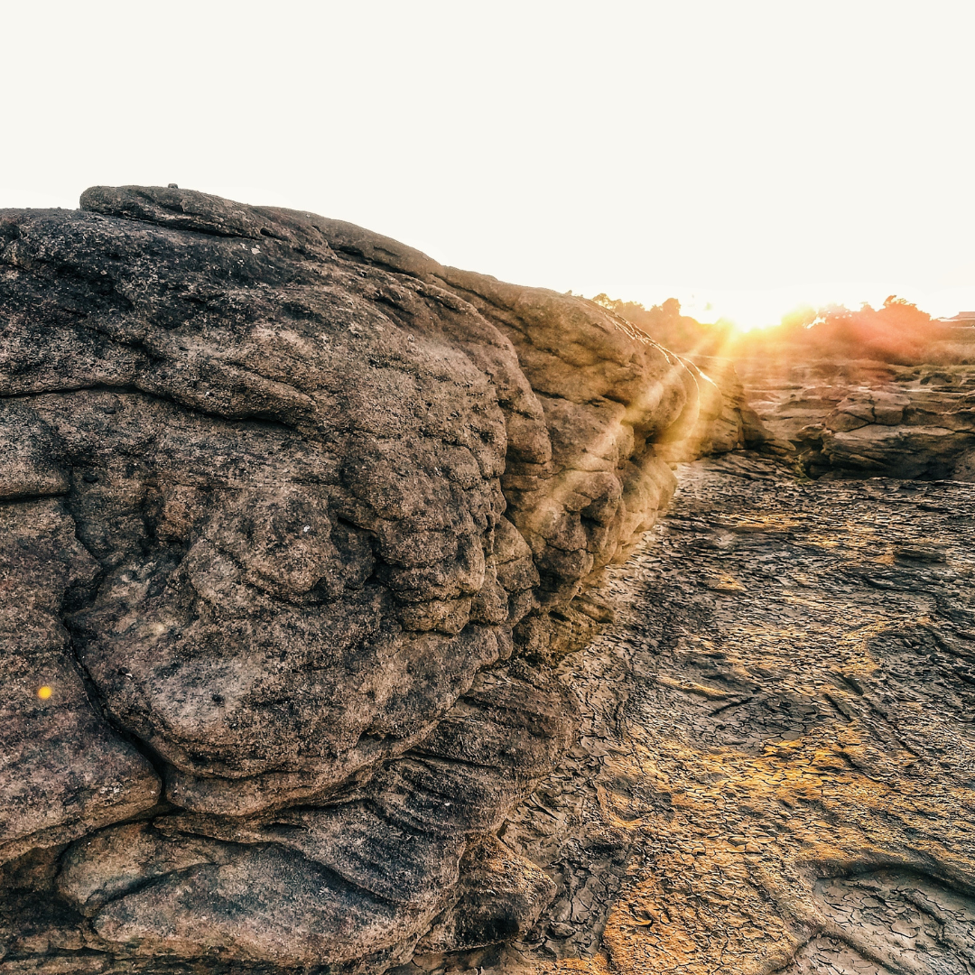 The Foundations of Health – Part 1